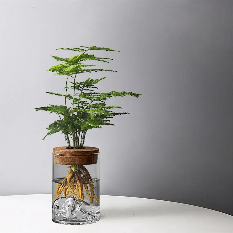 Plantes hydroponiques en petits pots, plantes de bureau en pot, bouteilles en verre, plantes vertes décoratives, petits vases - Maison & Déco
