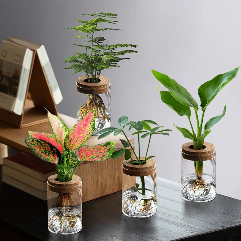 Plantes hydroponiques en petits pots, plantes de bureau en pot, bouteilles en verre, plantes vertes décoratives, petits vases - Maison & Déco