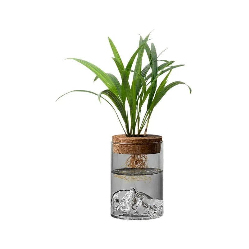 Plantes hydroponiques en petits pots, plantes de bureau en pot, bouteilles en verre, plantes vertes décoratives, petits vases - Maison & Déco