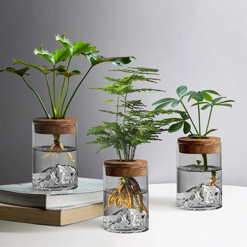Plantes hydroponiques en petits pots, plantes de bureau en pot, bouteilles en verre, plantes vertes décoratives, petits vases - Maison & Déco