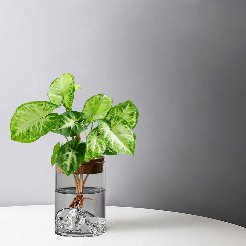 Plantes hydroponiques en petits pots, plantes de bureau en pot, bouteilles en verre, plantes vertes décoratives, petits vases - Maison & Déco